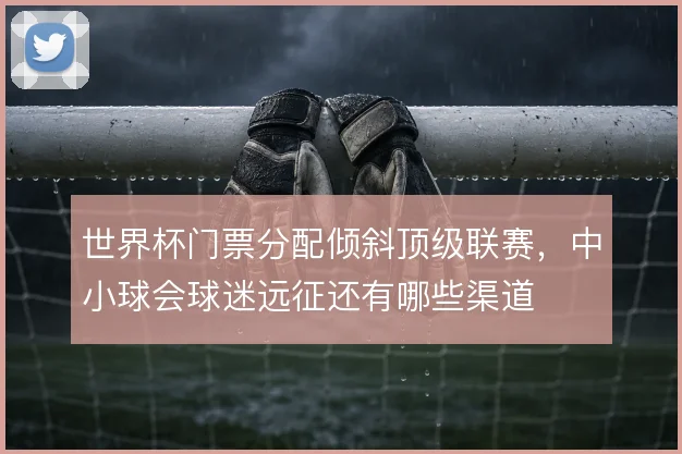 世界杯门票分配倾斜顶级联赛,中小球会球迷远征还有哪些渠道