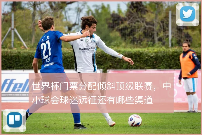 世界杯门票分配倾斜顶级联赛,中小球会球迷远征还有哪些渠道
